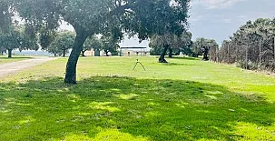 El Bosque de Ribera 0024