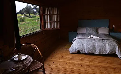 El Bosque de Ribera en Escalona (Toledo) - Foto 25