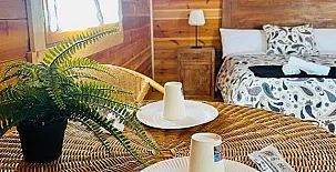 El Bosque de Ribera 0027