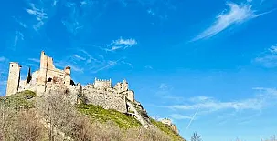 El Bosque de Ribera 0030