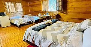 El Bosque de Ribera 0031