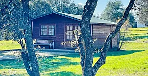 El Bosque de Ribera 002