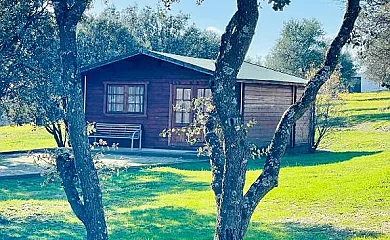 El Bosque de Ribera en Escalona (Toledo) - Foto 2