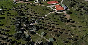 El Bosque de Ribera 0035