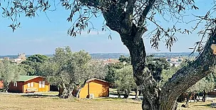 El Bosque de Ribera 0036