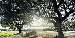 El Bosque de Ribera 0038