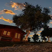 El Bosque de Ribera 001