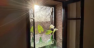 Casa Rural El Gerbal 005