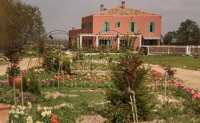Hotel Santa Coloma del Camino en Olmillos de Sasamón (Burgos) - Foto 2