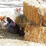 Casa Rural Quintanilla 001