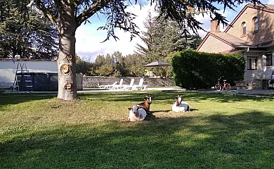 Kira en Las Merindades en Barcenillas del Rivero (Burgos) - Foto 2