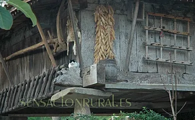 Casa Inés en Villaviciosa (Asturias) - Foto 4