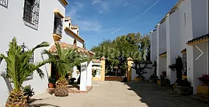 Cotijo La Dehesa del Pilar 009