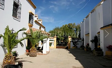 Cotijo La Dehesa del Pilar en Setenil de las Bodegas (Cádiz) - Foto 9