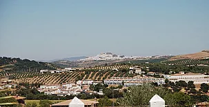 Cotijo La Dehesa del Pilar 0010