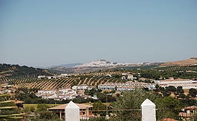 Cotijo La Dehesa del Pilar en Setenil de las Bodegas (Cádiz) - Foto 10