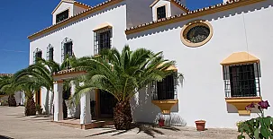 Cotijo La Dehesa del Pilar 004