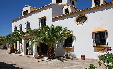 Cotijo La Dehesa del Pilar en Setenil de las Bodegas (Cádiz) - Foto 4