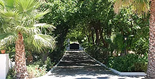 Cotijo La Dehesa del Pilar 0011