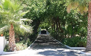 Cotijo La Dehesa del Pilar en Setenil de las Bodegas (Cádiz) - Foto 11