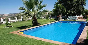 Cotijo La Dehesa del Pilar 003