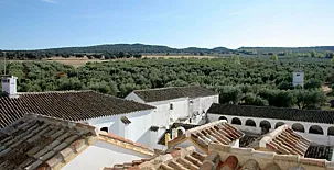 Cotijo La Dehesa del Pilar 0033