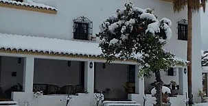 Cotijo La Dehesa del Pilar 0046