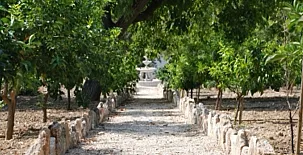 Cotijo La Dehesa del Pilar 0041