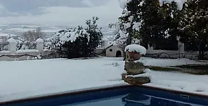 Cotijo La Dehesa del Pilar 0042