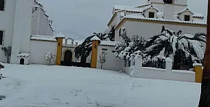 Cotijo La Dehesa del Pilar 0061