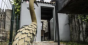 Casa Rural Villa Natura y Casa Irrico 002