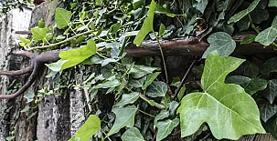 Casa Rural Villa Natura y Casa Irrico 0019