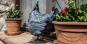 Casa Rural Villa Natura y Casa Irrico 0023