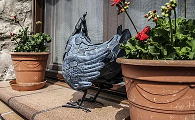 Casa Rural Villa Natura y Casa Irrico en Las Cuevas de Soria (Soria) - Foto 23