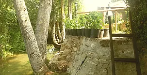 Casa Rural Villa Natura y Casa Irrico 0037