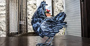 Casa Rural Villa Natura y Casa Irrico 0039