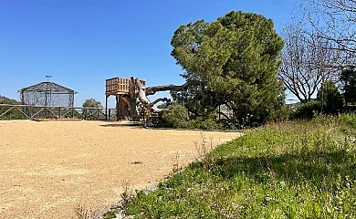 Alojamiento Rural Cañada del Pino en Bullas (Murcia) - Foto 19