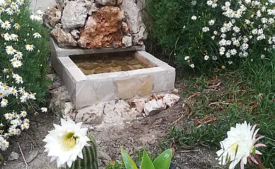 La Parrilla en Olvera (Cádiz) - Foto 8