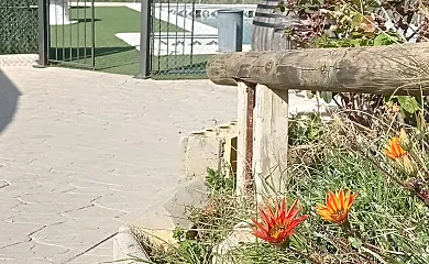 La Parrilla en Olvera (Cádiz) - Foto 10