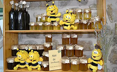 Cal Badat en Arnes (Tarragona) - Foto 14