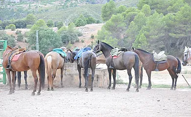 Alojamiento Rural Tejerina en Arroyo Frío (Jaén) - Foto 14
