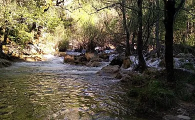Alojamiento Rural Tejerina en Arroyo Frío (Jaén) - Foto 17