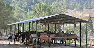 Alojamiento Rural Tejerina 0018