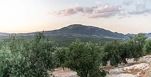 Casas Rurales La Loma 0020