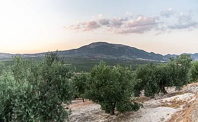 Casas Rurales La Loma en Illora (Granada) - Foto 20