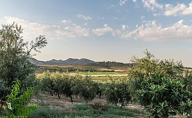 Casas Rurales La Loma en Illora (Granada) - Foto 22