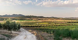 Casas Rurales La Loma 0027