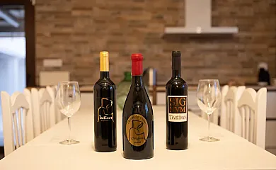 Casa Rural Tía Emilia en Casas de Fernando Alonso (Cuenca) - Foto 11