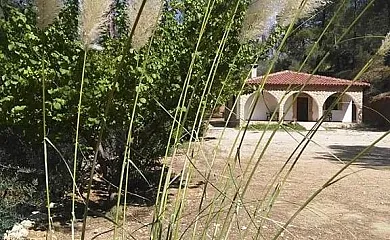 Casas Rurales La Tobica en Tus (Albacete) - Foto 3