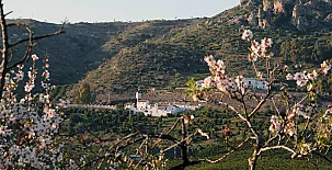 Casas Rurales la Huerta 0030